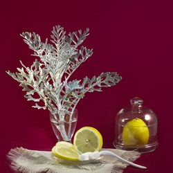 Пазл: С лимоном 