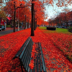 Пазл: Красная осень