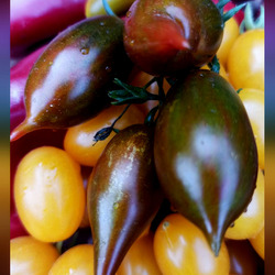 Пазл: Томаты