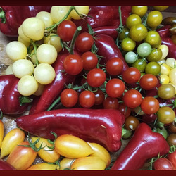 Пазл: Томаты и перчик