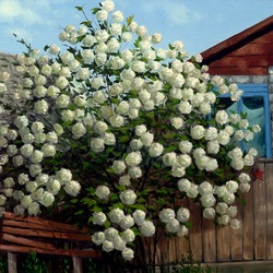 Пазл: Наследство ветерана