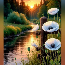 Пазл: Белые маки