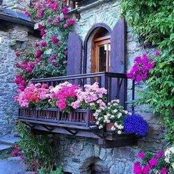 Пазл: Окно в цвету