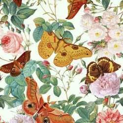 Пазл: Бабочки