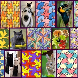 Пазл: Коллаж