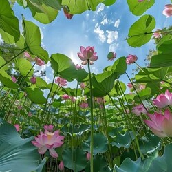 Пазл: Красивый ракурс