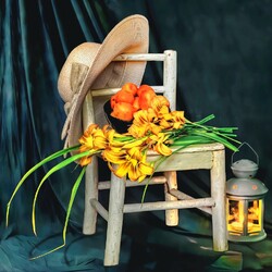 Пазл: После прогулки