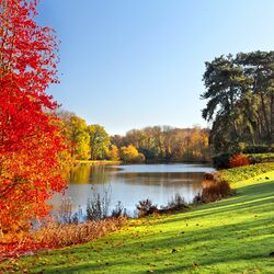 Пазл: Ранняя  осень