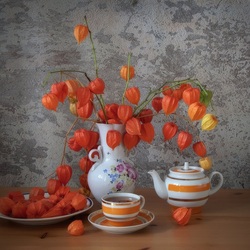 Пазл: Физалис 