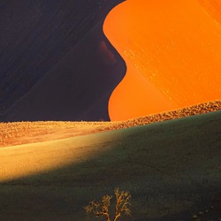 Пазл: Инь и ян пустыни Намиб