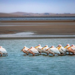 Пазл: Строем