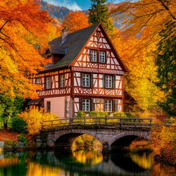 Пазл: Яркие краски осени