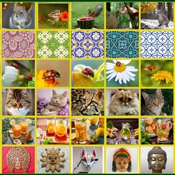 Пазл: Весёлый коллаж