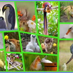 Пазл: Веселые зверюшки