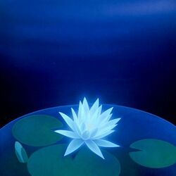 Пазл: Водяная лилия