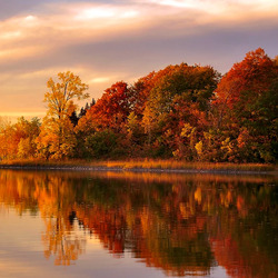 Пазл: Озеро осенью