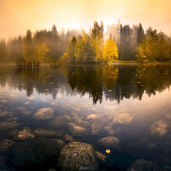 Пазл: Отражение осени