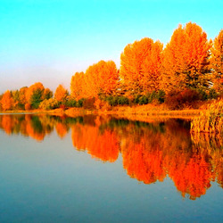 Пазл: Отражение осени