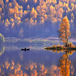 Пазл: Осень