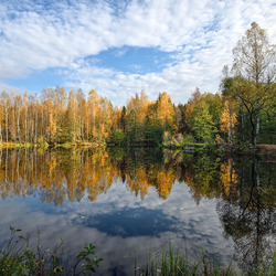 Пазл: Осенний пейзаж
