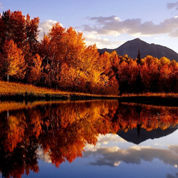 Пазл: Осеннее отражение
