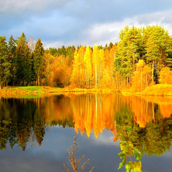 Пазл: Осеннее отражение