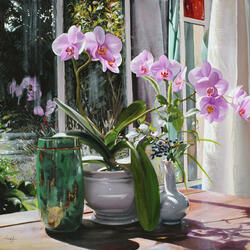 Пазл: Розовая орхидея