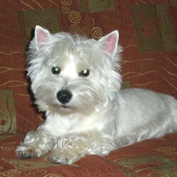 Пазл: Лялечка