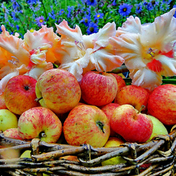 Пазл: Немного лета в зимний день