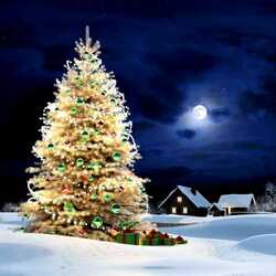 Пазл: Золотая ель 