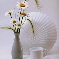 Пазл: Оттенки белого