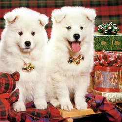 Пазл: С праздником!