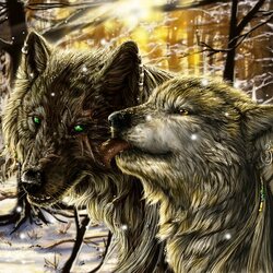 Пазл: Волчья пара 