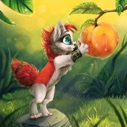 Пазлы на тему «Stasya Sher»