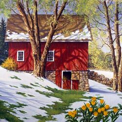 Пазл: Первые тюльпаны