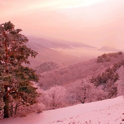 Пазл: Утро красит нежным цветом