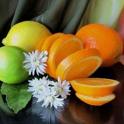 Пазл: Цитрусовый аромат