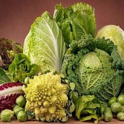 Пазл: Виды капусты