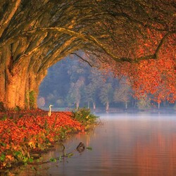 Пазл: Осенний покой