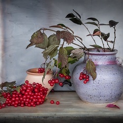 Пазл: Калина 