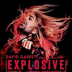 Пазл: David Garrett/ Дэвид Гарретт