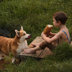 Пазл: Булка