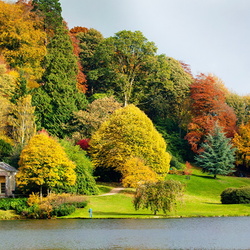 Пазл: Осенняя палитра