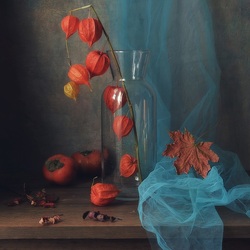 Пазл: С физалисом 