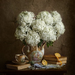 Пазл: Кудрявые хризантемы