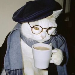 Пазл: Парижский берет