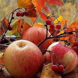 Пазл: Осенние дары