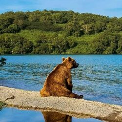 Пазл: Присел отдохнуть