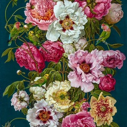 Пазл: Буйство пионов