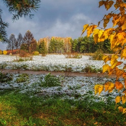 Пазл: Припорошило